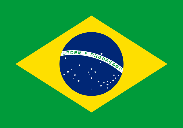 Brazil Team Logo